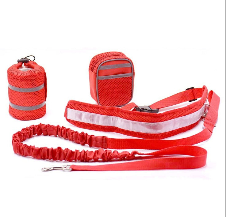 Adjustable Hands Free Dog Leash Lime Sunflower
