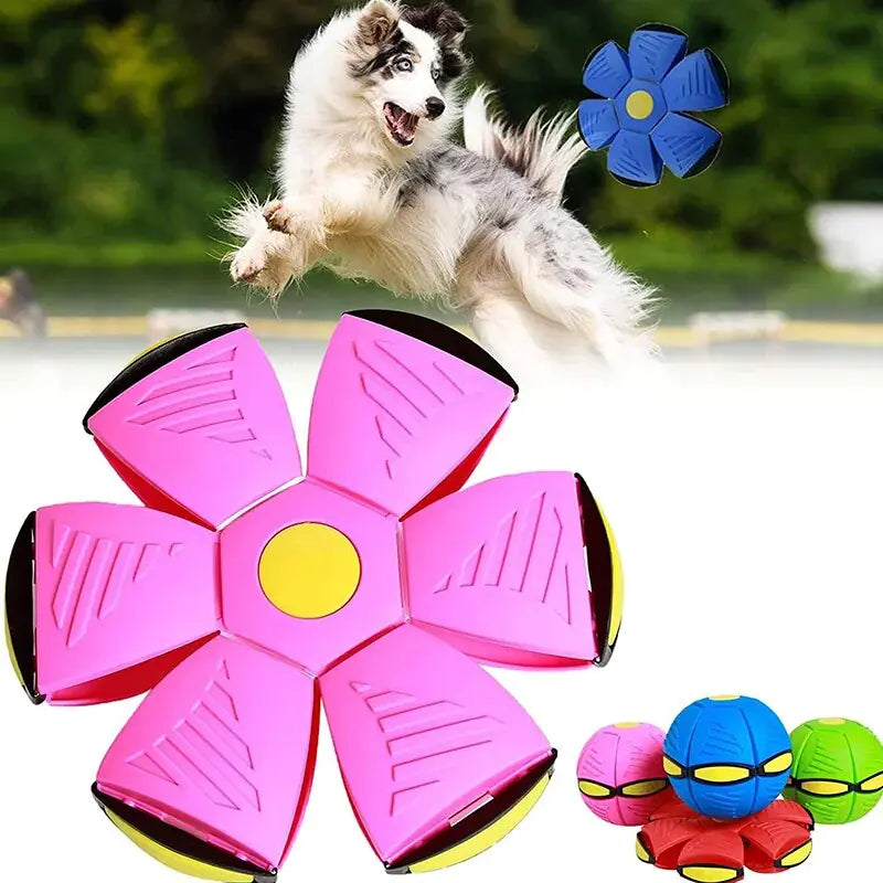 Orbix™ Pet Toy RegenaLife Market