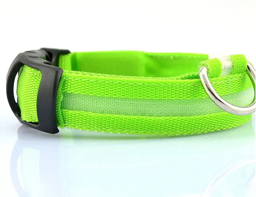 Pet Led Collar RegenaLife Market