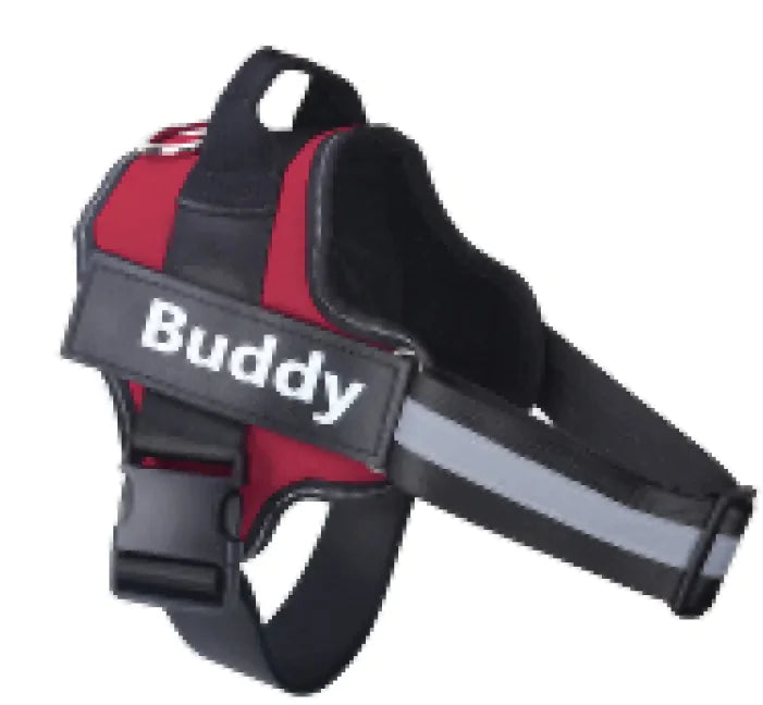 Reflective Breathable Pet Vest RegenaLife Market