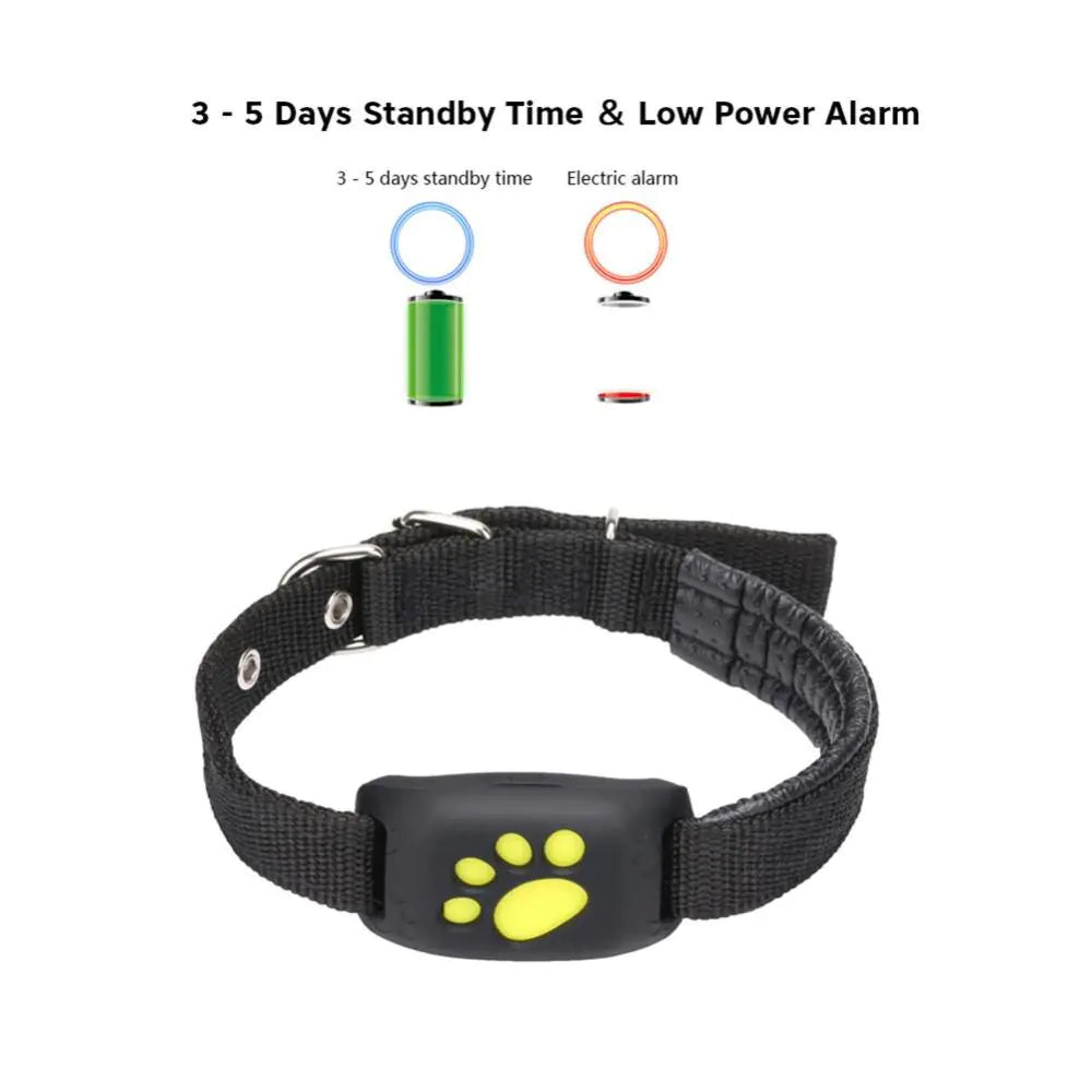 Pet GPS Tracker Collar RegenaLife Market