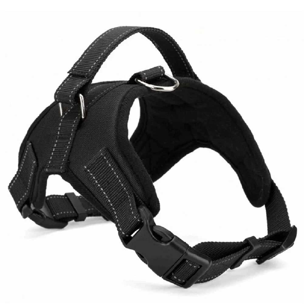 Dog Pet Harness Collar Adjustable RegenaLife Market
