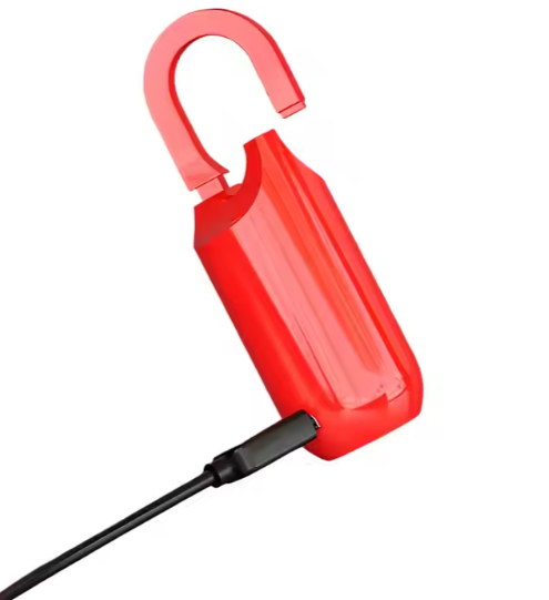 Smart Fingerprint Lock, RegenaLife Market