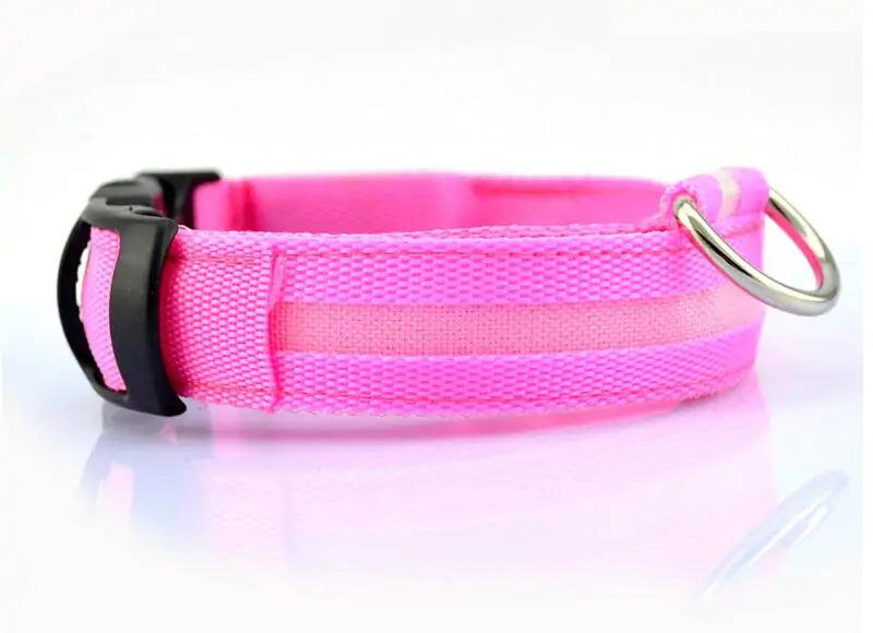 Pet Led Collar RegenaLife Market