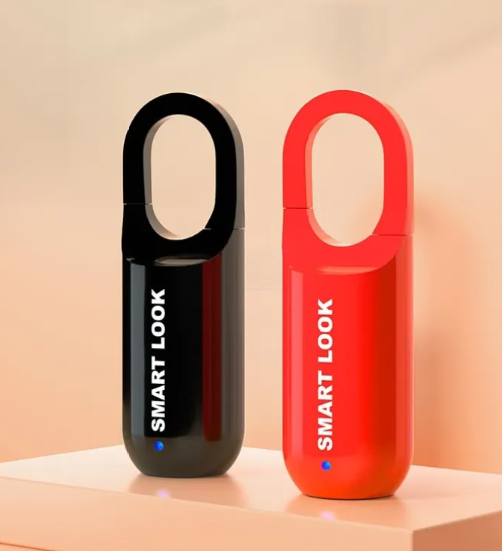 Smart Fingerprint Lock, RegenaLife Market
