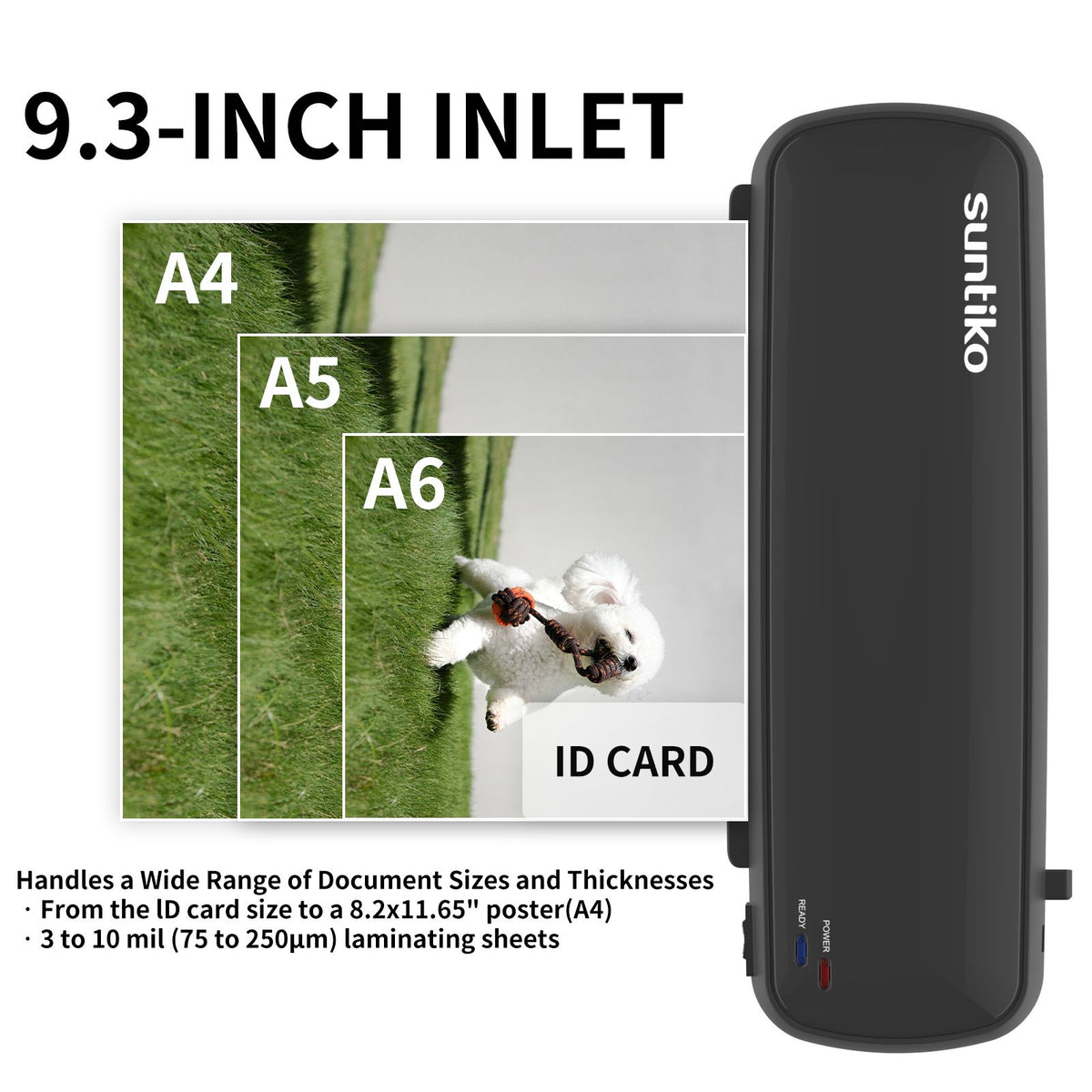 501681081