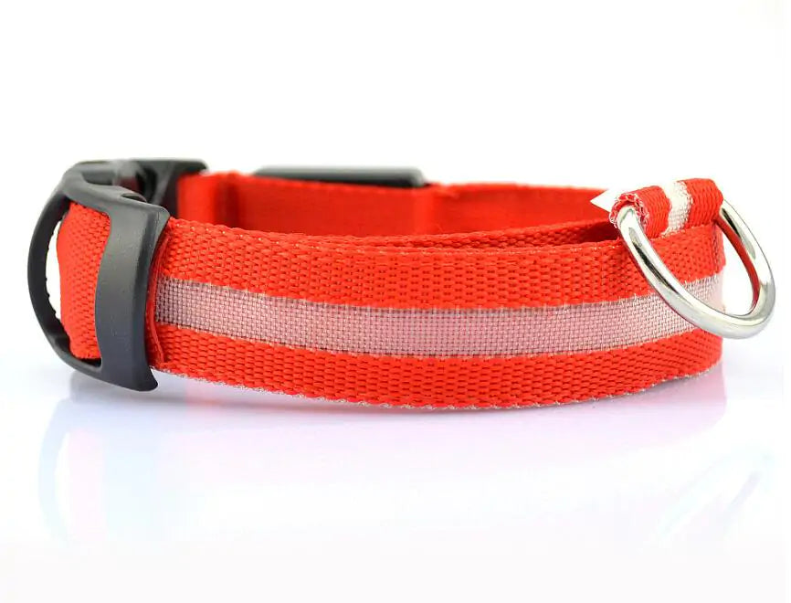 Pet Led Collar RegenaLife Market